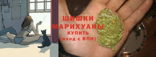 Альфа ПВП Протвино