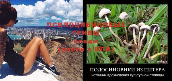гидропоника Покров