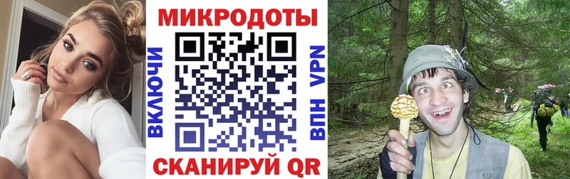 Псилоцибиновые грибы Cubensis  Купить закладки  Татарск 
